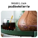 5.webp