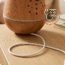 5.webp