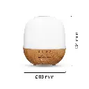 8.webp