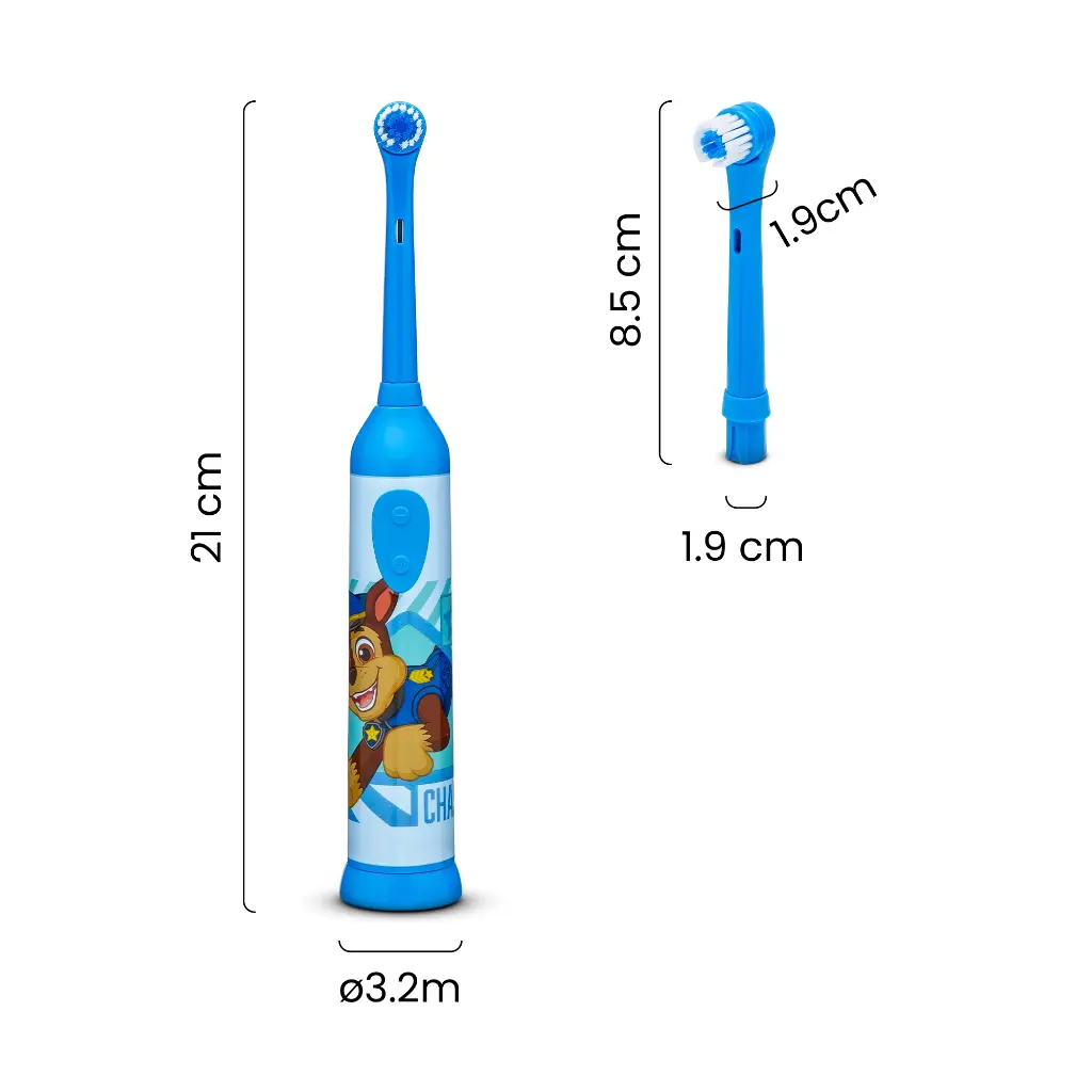 10.webp
