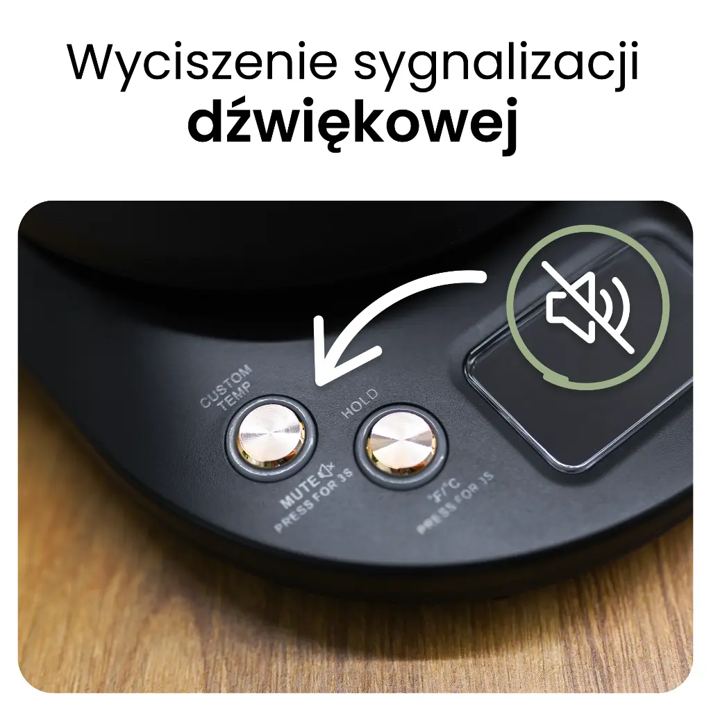 5.webp